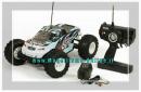 HBX Monster 1:10 RTR MASSIVE PRO TRUCK